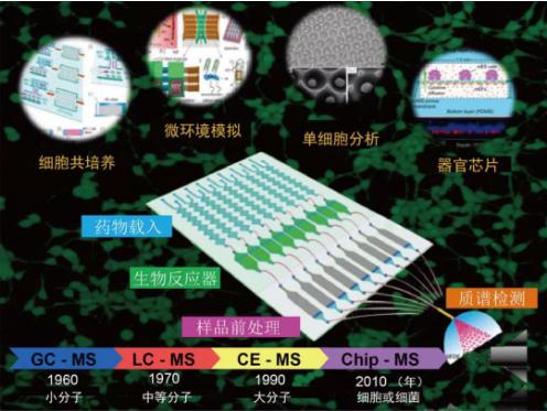 小芯片 大用途 微流控芯片細胞分析 小芯片 大用途 微流控芯片細胞分析