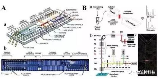 圖5：分析cNAs的微流控系統