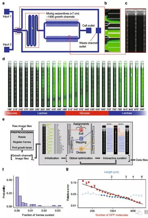 球最小的實驗室, 集成微流控動態(tài)可控監(jiān)測單細胞基因調(diào)控 球最小的實驗室, 集成微流控動態(tài)可控監(jiān)測單細胞基因調(diào)控