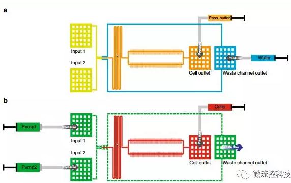 球最小的實驗室, 集成微流控動態(tài)可控監(jiān)測單細胞基因調(diào)控 球最小的實驗室, 集成微流控動態(tài)可控監(jiān)測單細胞基因調(diào)控