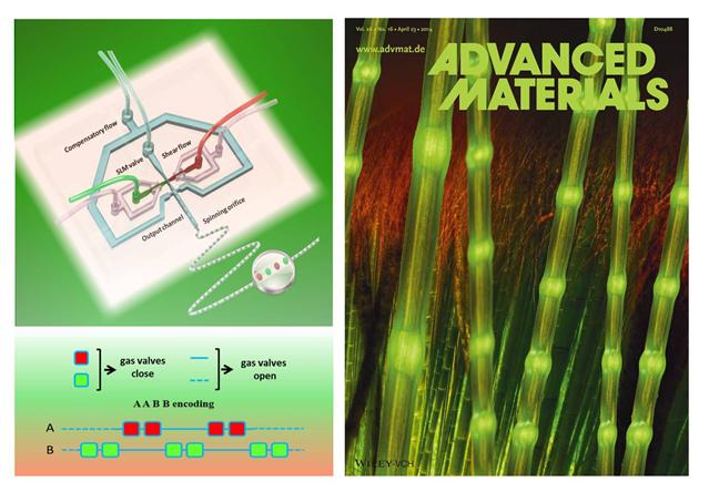 微流控技術仿生合成微米纖維生物材料新進展 微流控技術仿生合成微米纖維生物材料新進展