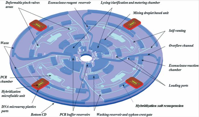 圖2：Lab-on-Disc設備的顯示，顯示了四個平行測試以及各個組件，指示裂解，PCR擴增，外切核酸酶反應，微陣列雜交等功能。
