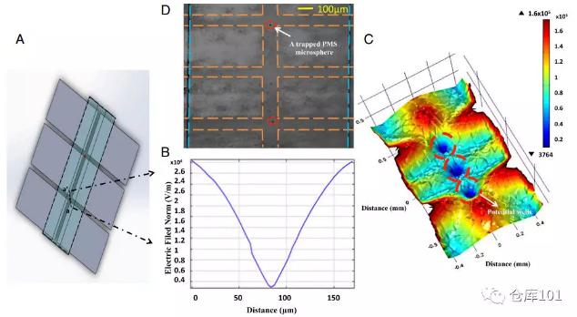 圖3. 多元復雜體系中單個生物粒子限制功能 A)微流控芯片示意圖；B)微流控管道內電勢分布；C)三維電勢圖；D)顯微照相圖