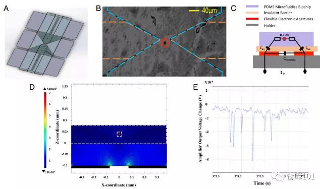 圖6. 實時單細胞計數 A)微流控芯片示意圖；B)單個細胞通過電極顯微照相圖；C)等效電路圖；D)單個細胞通過的電勢計算圖；E)6個PMS微球通過的實驗測量電勢圖