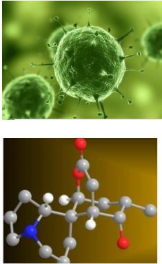 微流控芯片應(yīng)用領(lǐng)域
