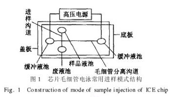 芯片毛細(xì)管電泳常用進(jìn)樣模式結(jié)構(gòu)