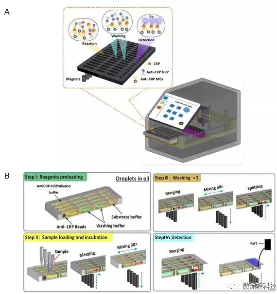 圖2 液滴陣列微流控芯片免疫分析系統(tǒng)。A. 分析儀器結(jié)構(gòu)示意圖;B. 分析原理示意圖。