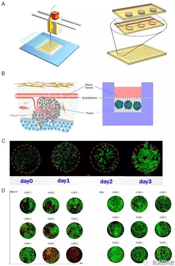 圖4A.微流控腫瘤微陣列藥物測試系統(tǒng)包含一種復(fù)合式結(jié)構(gòu)開放式微流控芯片以及移液工作站