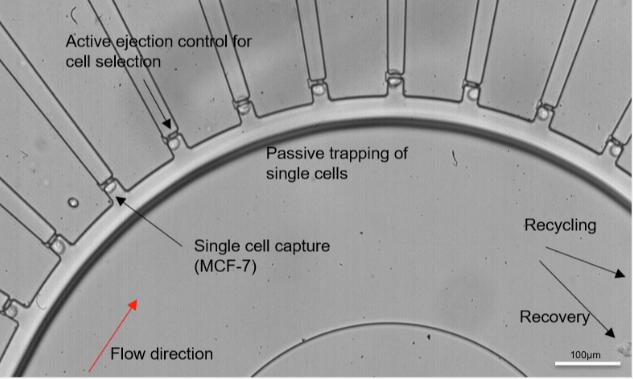 微流控單細胞分離裝置 微流控單細胞分離裝置