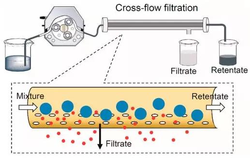 圖3 交叉流過濾裝置示意圖