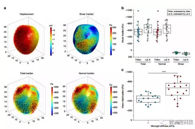 微流控技術開發微型彈性球,可用于癌癥診斷 微流控技術開發微型彈性球,可用于癌癥診斷
