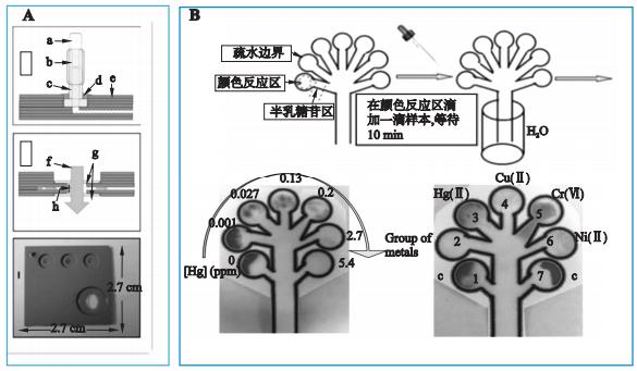 圖1重金屬檢測微流控芯片系統 圖1重金屬檢測微流控芯片系統