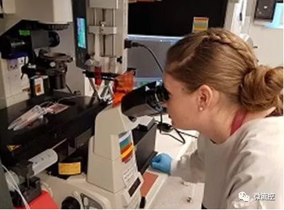 微流控技術在孕婦血樣檢測領域取得突破 微流控技術在孕婦血樣檢測領域取得突破