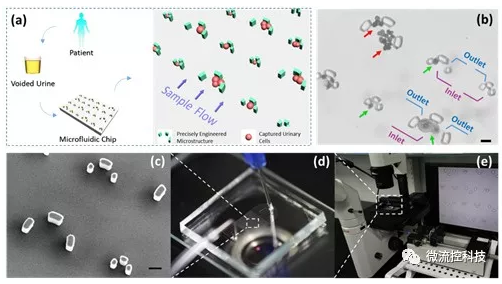 微流控技術(shù)在膀胱癌無(wú)創(chuàng)檢測(cè)領(lǐng)域取得重要進(jìn)展