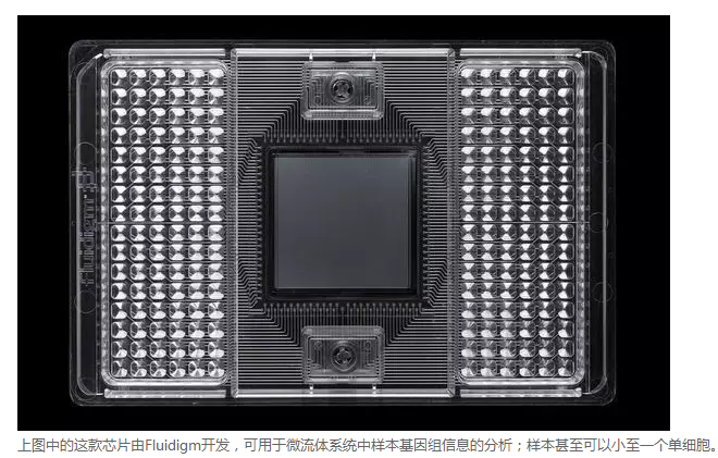 微流體系統(tǒng)中樣本基因分析 微流體系統(tǒng)中樣本基因分析