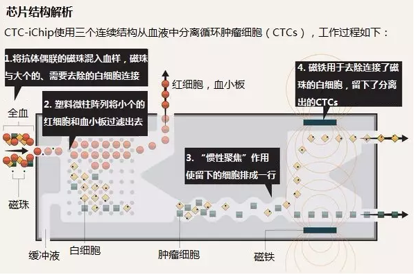 芯片結構解析 芯片結構解析