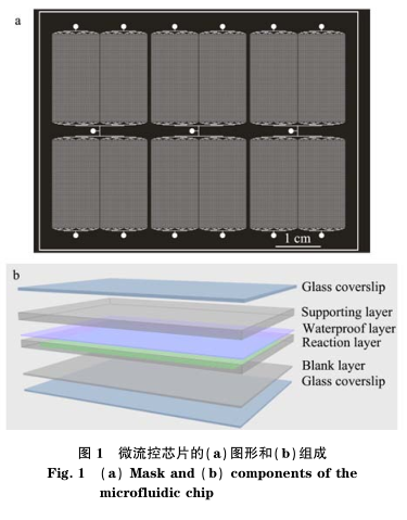 微流控芯片a和b的組合