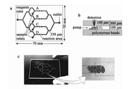 非均相酶聯(lián)免疫反應芯片