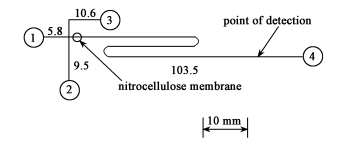 非均相衍生反應電泳芯片結(jié)構(gòu)
