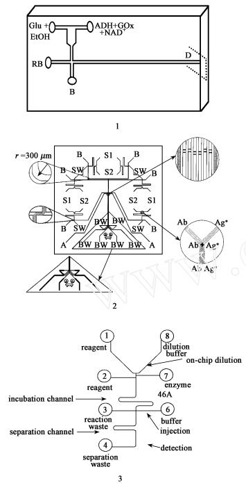 集成有 T型和 Y型柱前反應器的電泳芯片