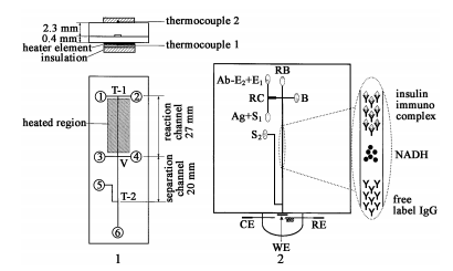 同時集成柱前和柱后反應管道的電泳芯片