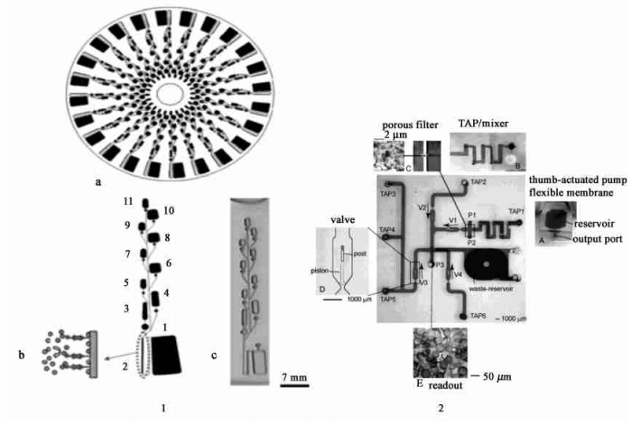 酶聯(lián)免疫(ELISA) 衍生反應微流控裝置[