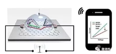 基于石墨烯的SNP檢測芯片將信號無線傳輸?shù)街悄苁謾C(jī)