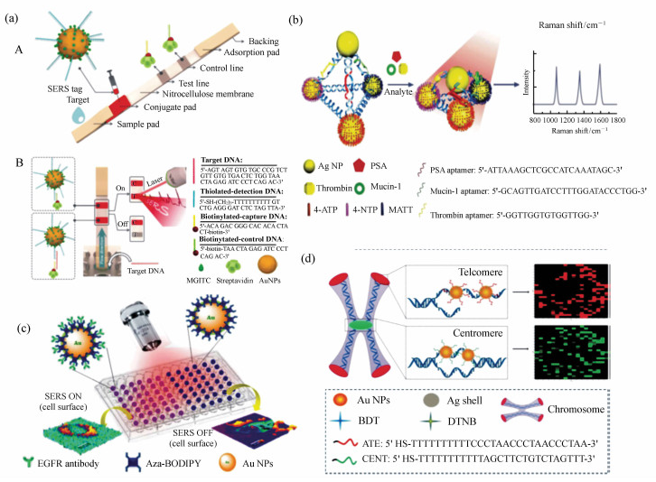 實驗結(jié)構(gòu)示意圖