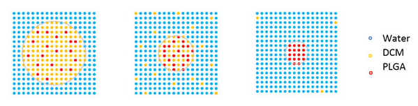 溶劑從液滴蒸發(fā)形成PLGA珠粒的過程 溶劑從液滴蒸發(fā)形成PLGA珠粒的過程