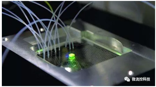 微流控芯片技術(shù)