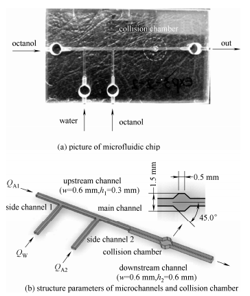 圖1微流控芯片與結構參數