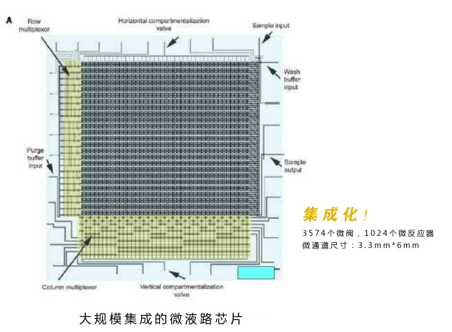 微流控芯片實驗室技術優勢:大規模集成的微液路芯片 微流控芯片實驗室技術優勢:大規模集成的微液路芯片
