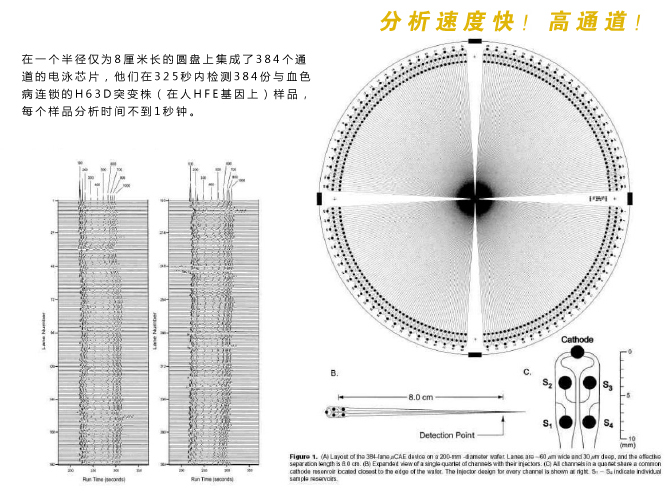 微流控芯片實驗室分析檢測速度快,具有高通道等特性。 微流控芯片實驗室分析檢測速度快,具有高通道等特性。