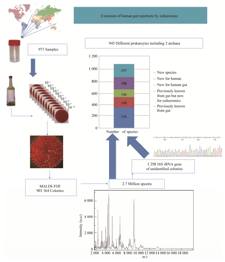 圖6培養(yǎng)組學(xué)工作的原理圖