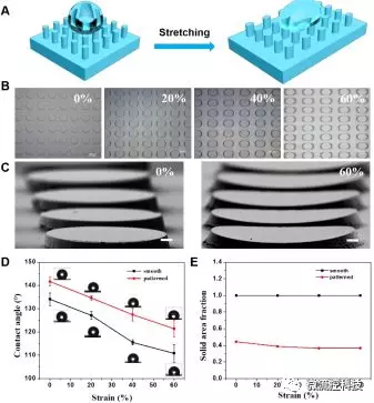 圖1. （A-C）形狀記憶微柱陣列結構在拉伸至20%，40%及60%后的形貌連續可控變化，及在外力撤銷后形變維持；（D，E）形狀記憶微柱陣列可控拉伸形變后表面浸潤特性改變及微結構形貌改變