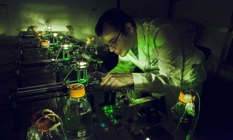 物理學研究生Jason Merritt在伊利諾伊州厄巴納的Loomis物理實驗室Kuehn實驗室研究他的自動化細菌種群取樣裝置。來自伊利諾伊大學厄巴納 - 香檳分校的L. Brian Stauffer 物理學研究生Jason Merritt在伊利諾伊州厄巴納的Loomis物理實驗室Kuehn實驗室研究他的自動化細菌種群取樣裝置。來自伊利諾伊大學厄巴納 - 香檳分校的L. Brian Stauffer