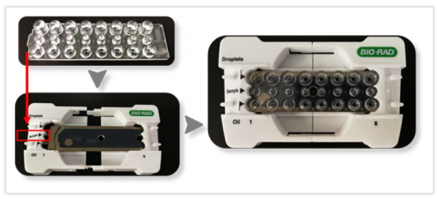 將8孔微滴生成板打開包裝，安裝到支架上，注意微滴生成板的方向與支架上標記方向一致