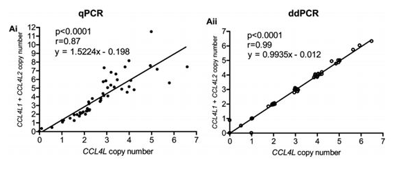 連續拷貝數（例如5拷貝和6拷貝）的區分