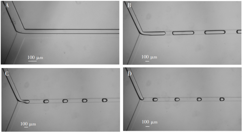 圖3(A)0彎折通道形成兩相流;(B)4彎折通道形成長液柱;(C)8彎折通道，液滴大小接近通道寬度;(D)12彎折通道，液滴大小接近通道寬度，但穩定時間較長