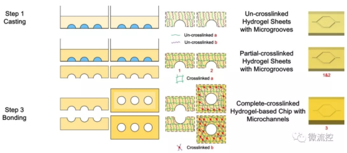 基于二次交聯的凝膠基微流控芯片制造工藝及原理
