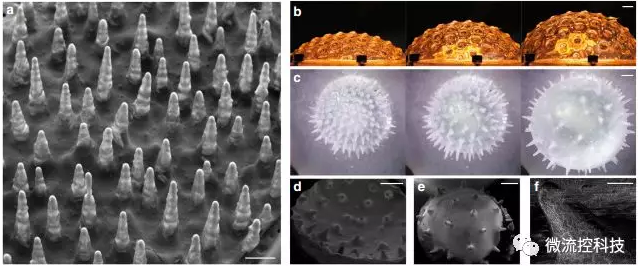重量負(fù)荷或熱容量的物理閾值