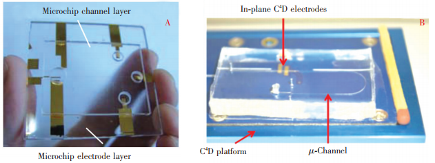 圖2兩種典型的電泳微芯片結(jié)構(gòu):(A)一體式結(jié)構(gòu)實例[17];(B)外部電極式結(jié)構(gòu)實例[18]