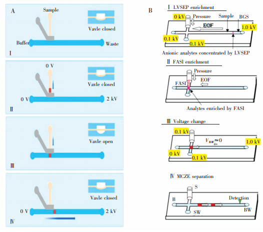 圖7兩種預(yù)濃縮方法。(A)采用氣動閥結(jié)構(gòu)[63]和(B)采用LVSEP及FASI對樣品進(jìn)行濃
