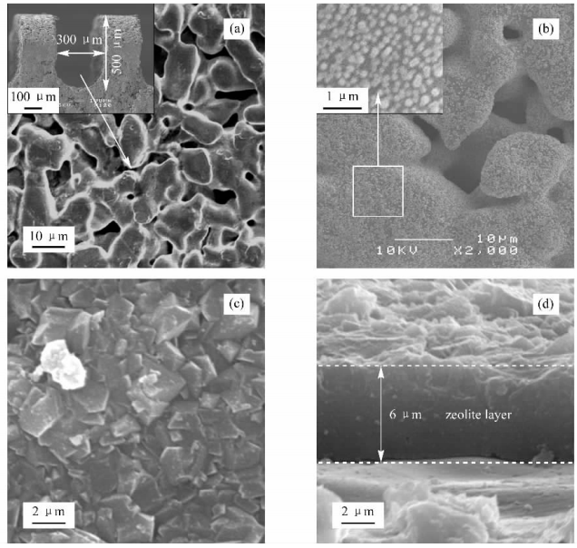 圖2不銹鋼微通道內表面、引入晶種以及沸石生長成膜的電鏡照片