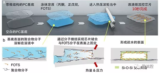 圖1 一步法工作流程圖及其分子機理