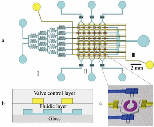 圖 1 微流控細胞陣列芯片設(shè)計示意圖