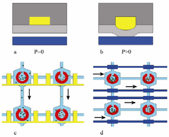 圖 3 微閥的結(jié)構(gòu)圖和工作原理圖 