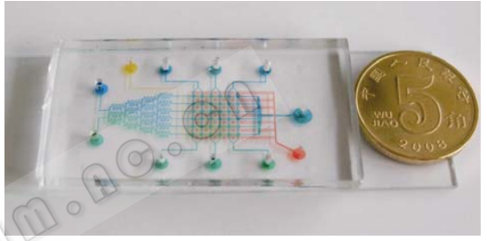 圖 4 微流控細胞陣列芯片的實物圖 