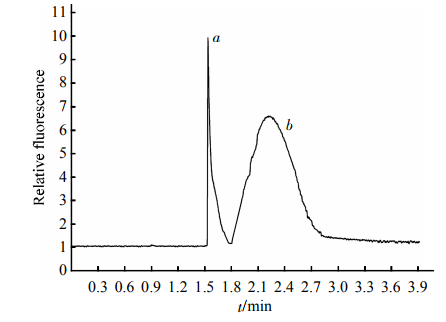 Fig.3EletropherogramofthemixturesofstandardHDLand2滋gHDL2SeparationconditionswerethesameasdescribedinFigure2.