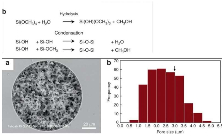 使用微流控整體裝置從血液中分離完整細菌